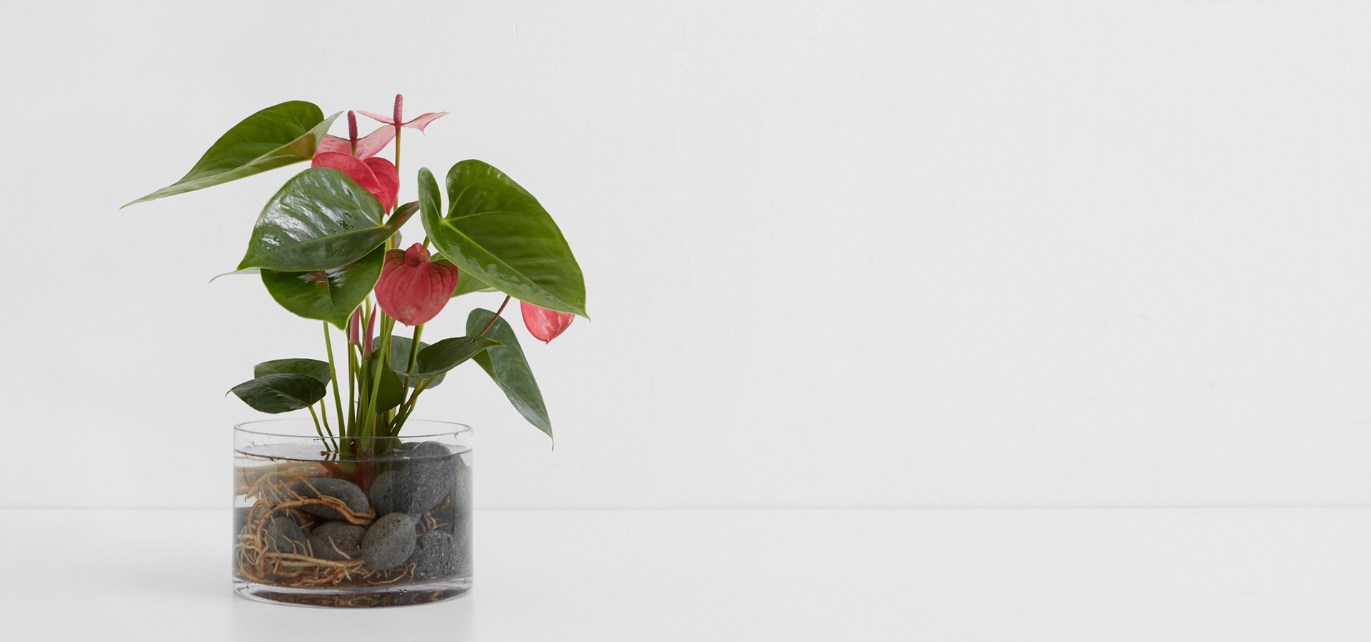 상품 섬네일 상품 섬네일