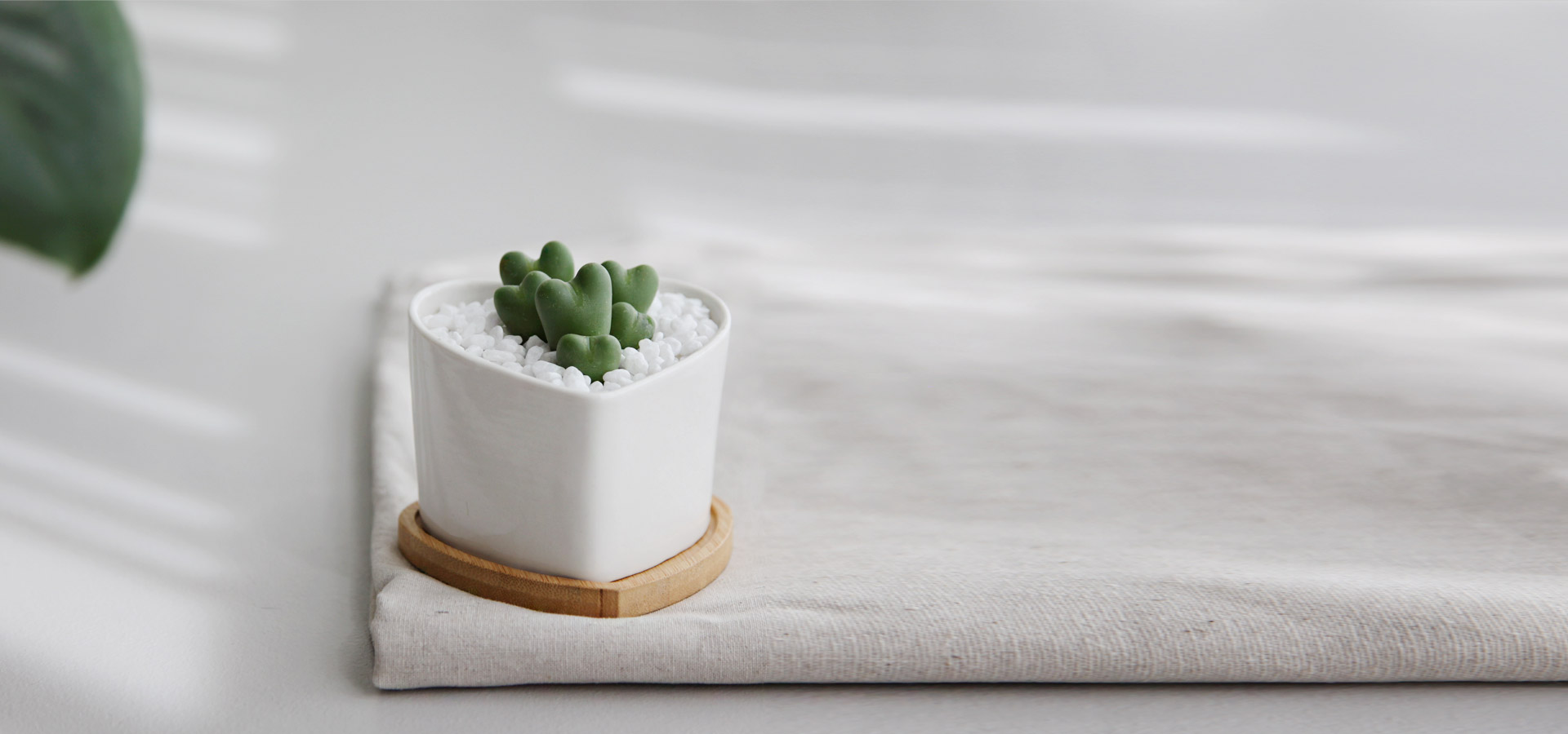 상품 섬네일 상품 섬네일