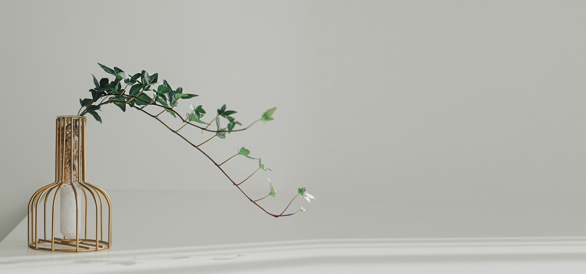 상품 섬네일 상품 섬네일