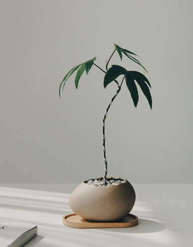 상품 섬네일 상품 섬네일