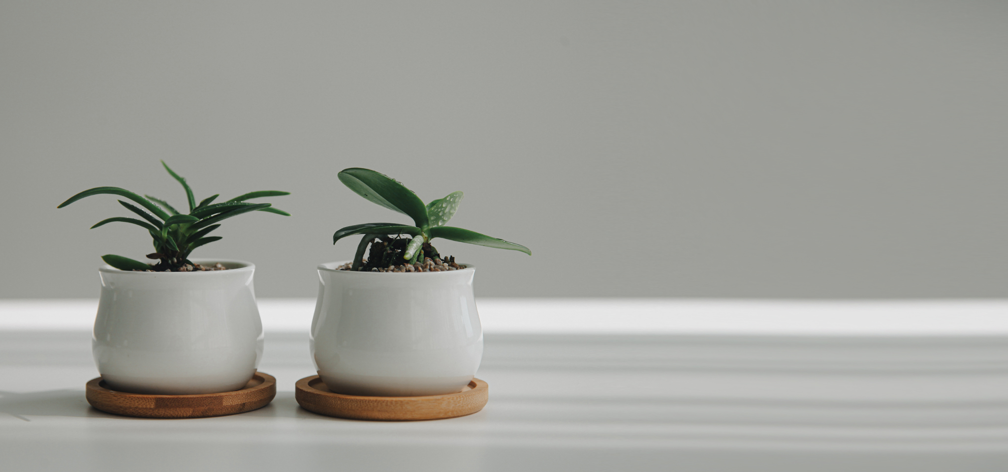 상품 섬네일 상품 섬네일