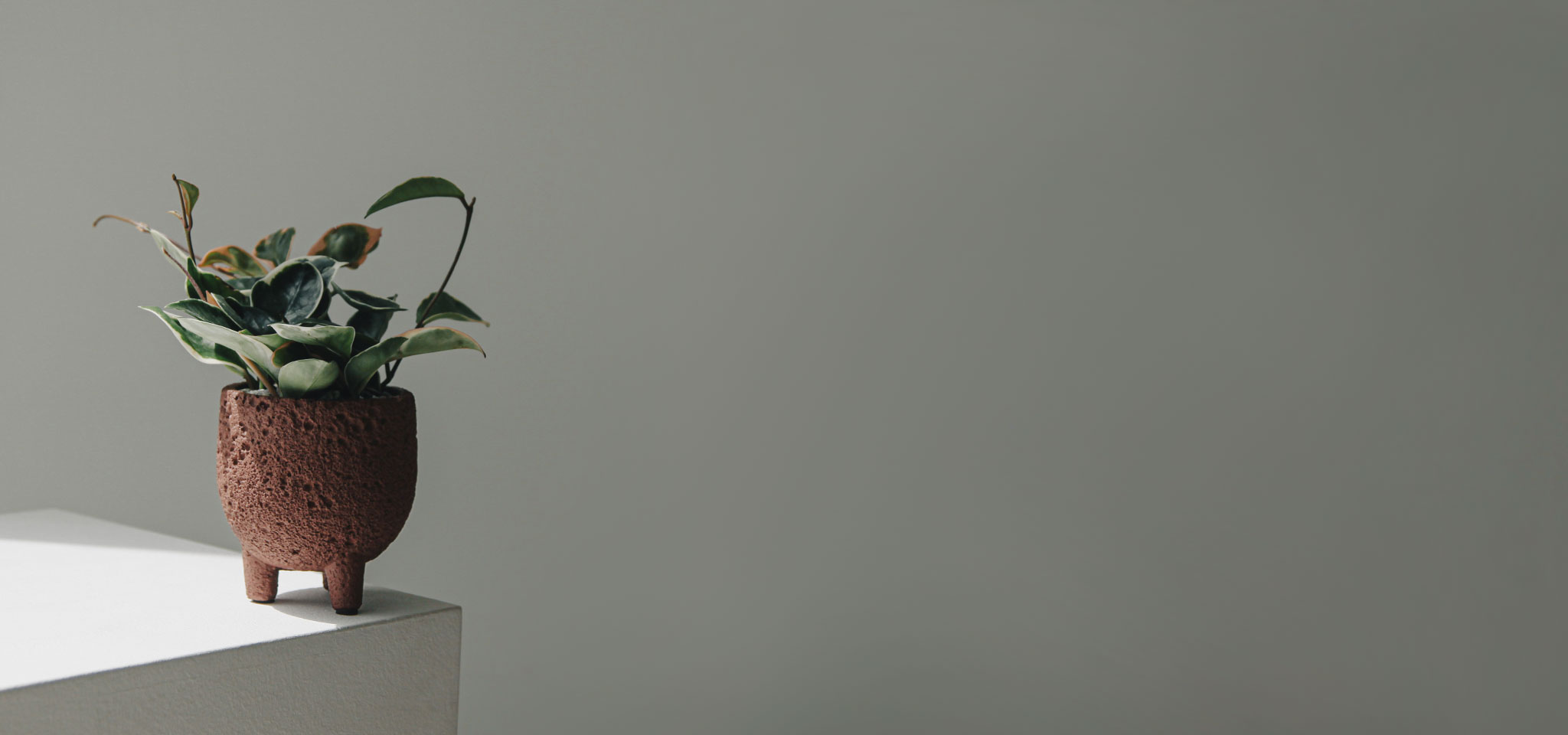 상품 섬네일 상품 섬네일