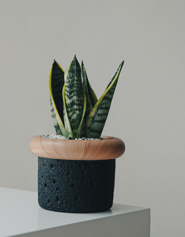 상품 섬네일 상품 섬네일