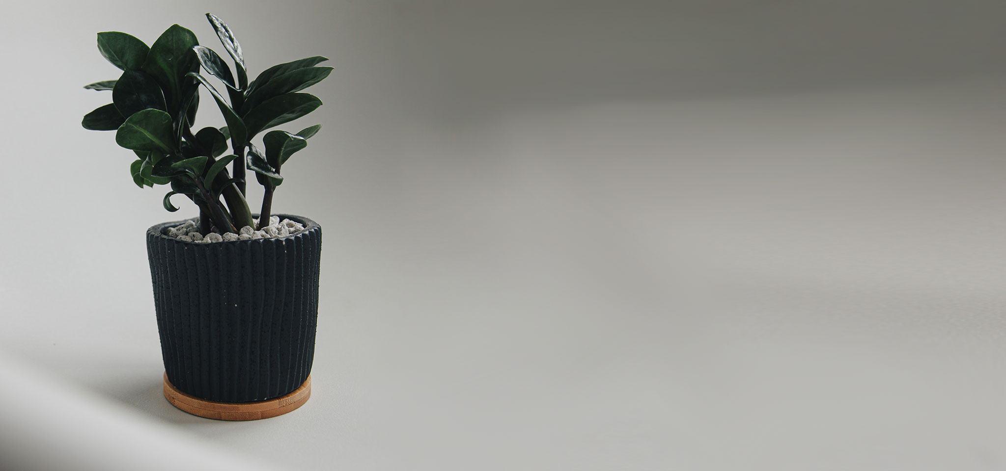 상품 섬네일 상품 섬네일