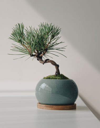 상품 섬네일 상품 섬네일