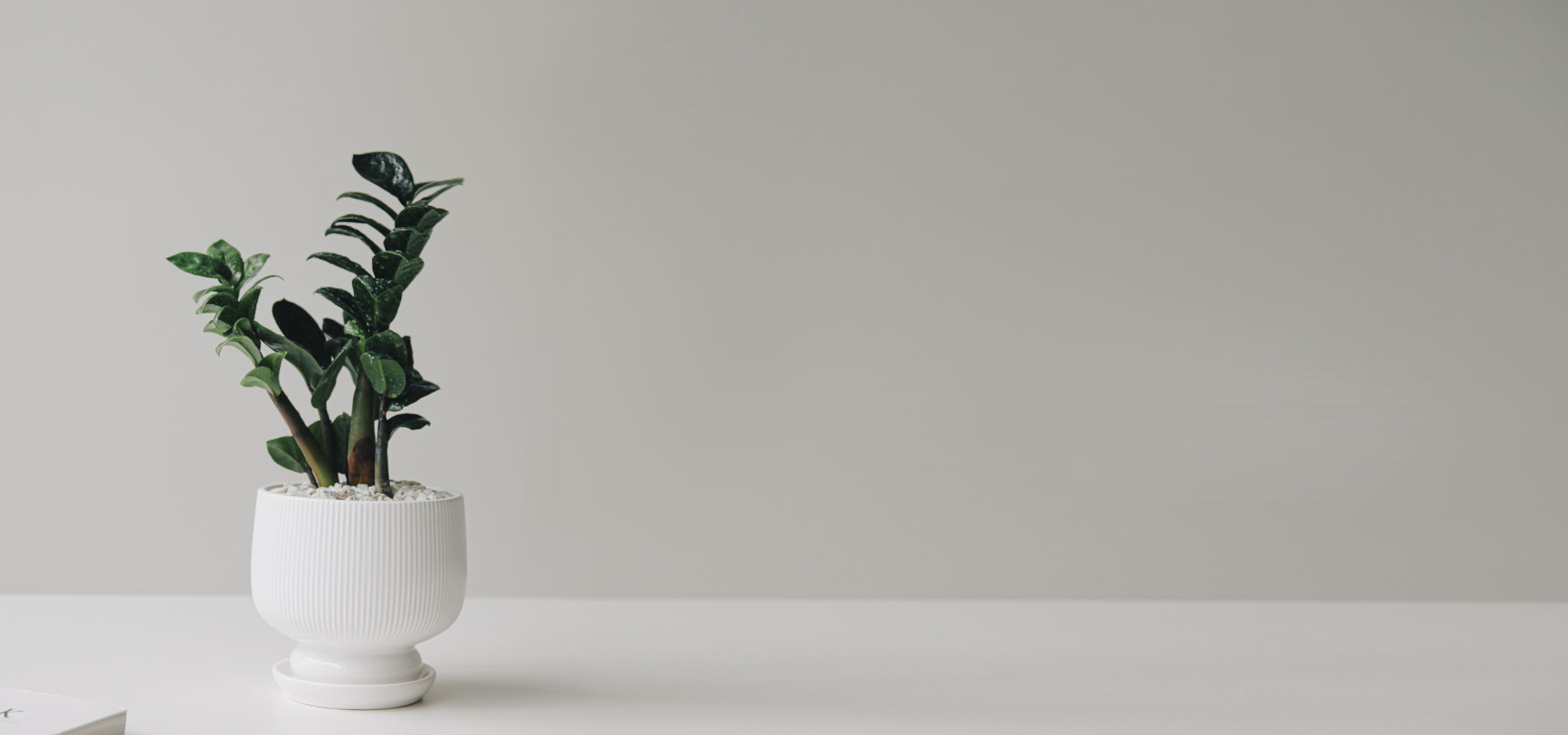 상품 섬네일 상품 섬네일