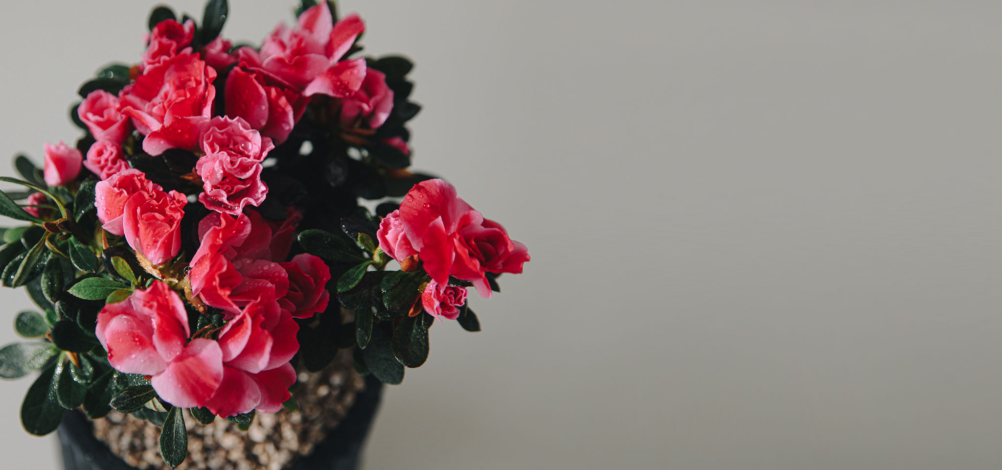 상품 섬네일 상품 섬네일