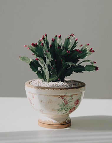 상품 섬네일 상품 섬네일