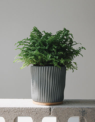 상품 섬네일 상품 섬네일