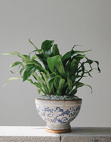 상품 섬네일 상품 섬네일