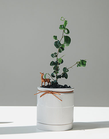 상품 섬네일 상품 섬네일