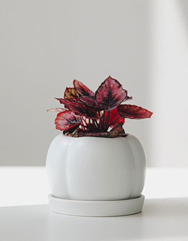 상품 섬네일 상품 섬네일