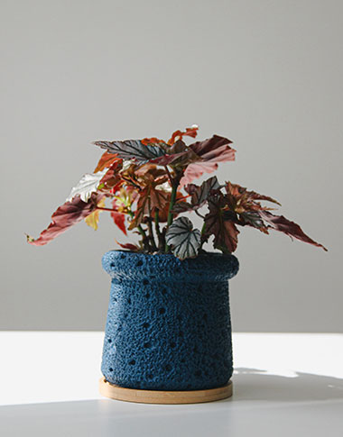 상품 섬네일 상품 섬네일