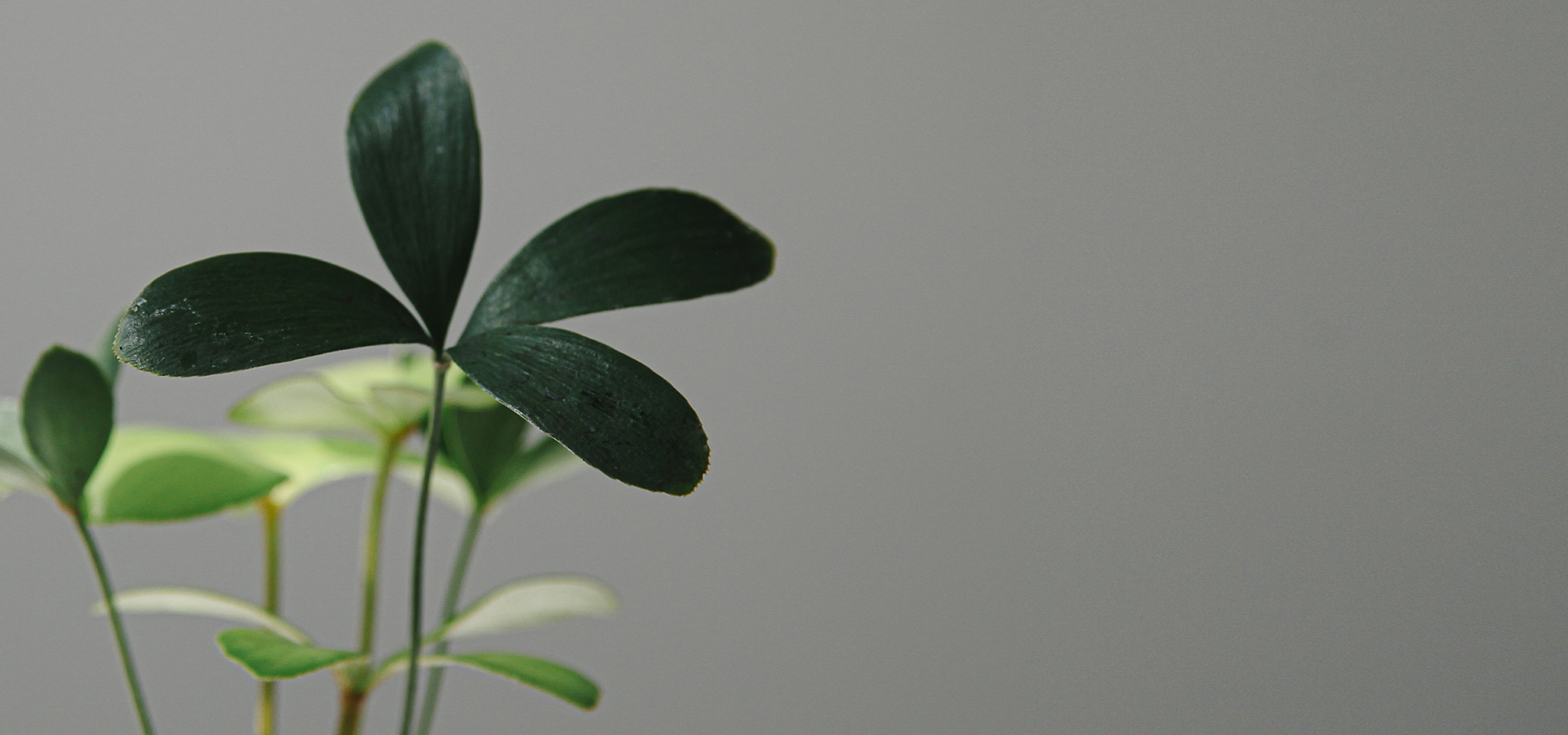 상품 섬네일 상품 섬네일