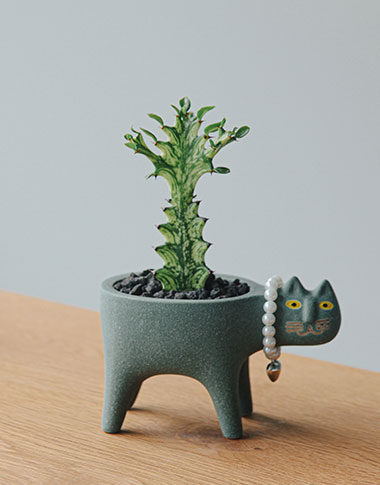 상품 섬네일 상품 섬네일