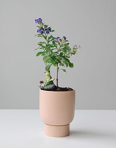 상품 섬네일 상품 섬네일