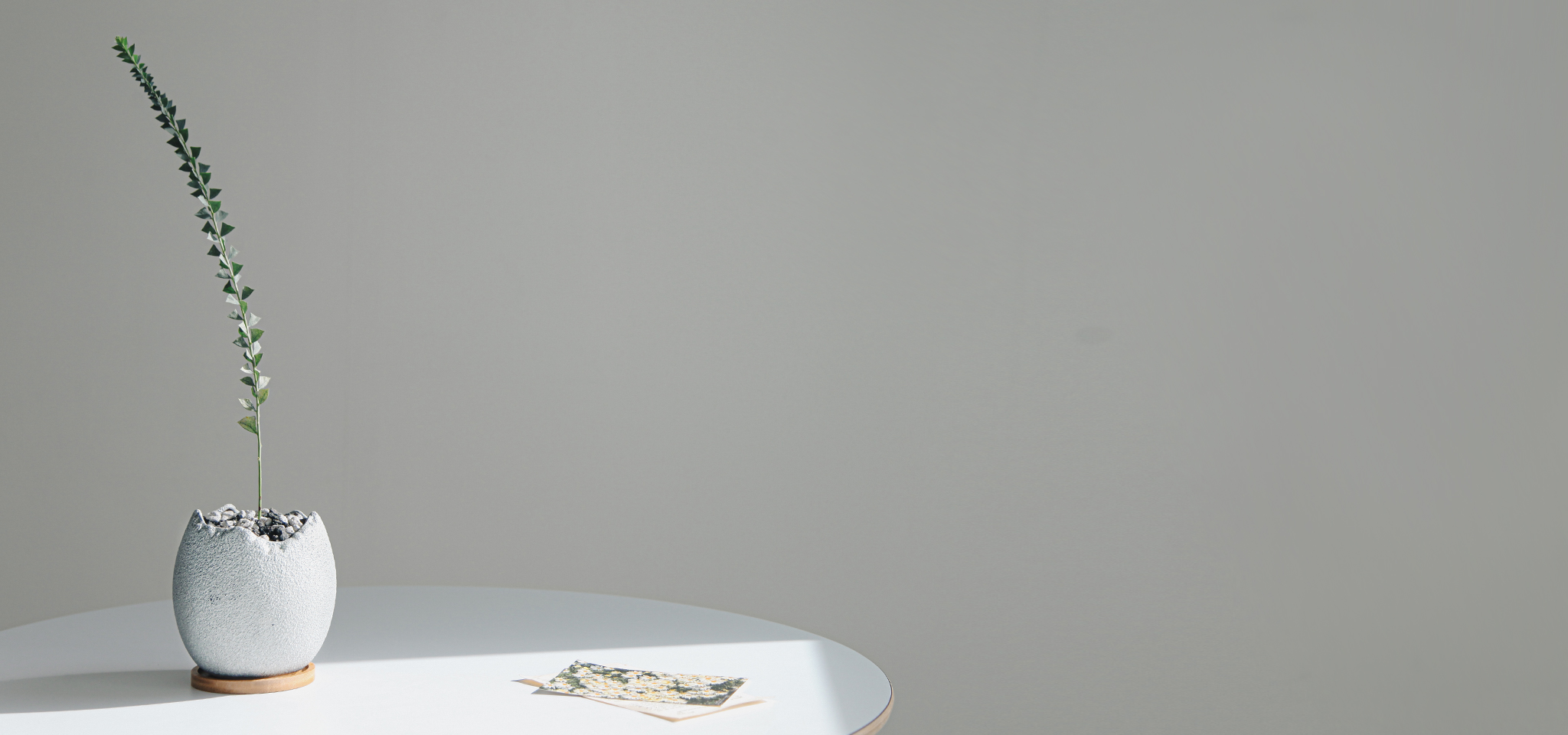 상품 섬네일 상품 섬네일