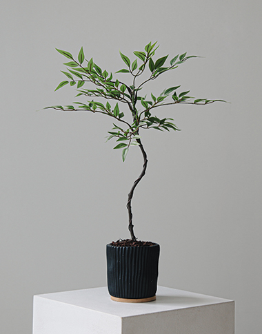 상품 섬네일 상품 섬네일