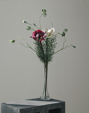 상품 섬네일 상품 섬네일