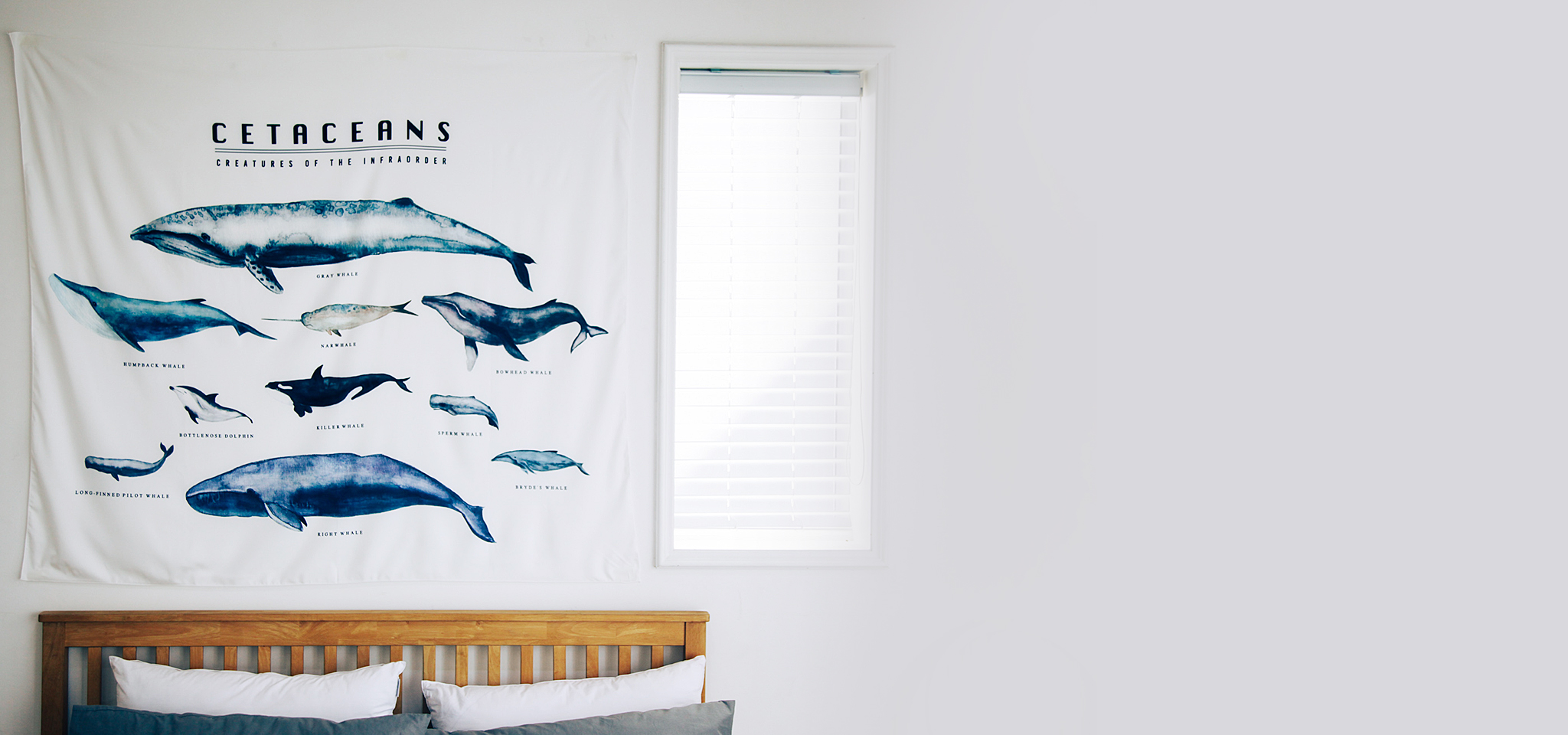 상품 섬네일 상품 섬네일