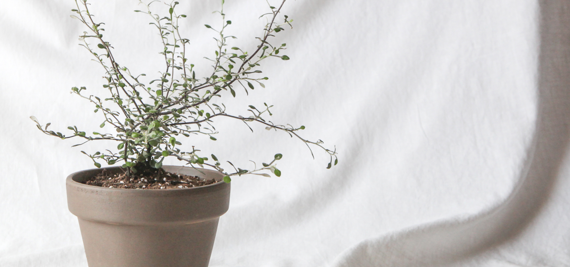 상품 섬네일 상품 섬네일