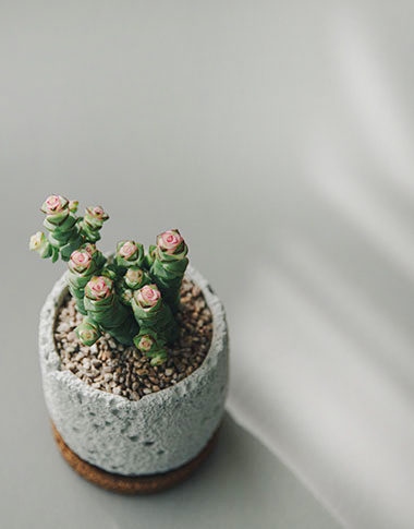 상품 섬네일 상품 섬네일