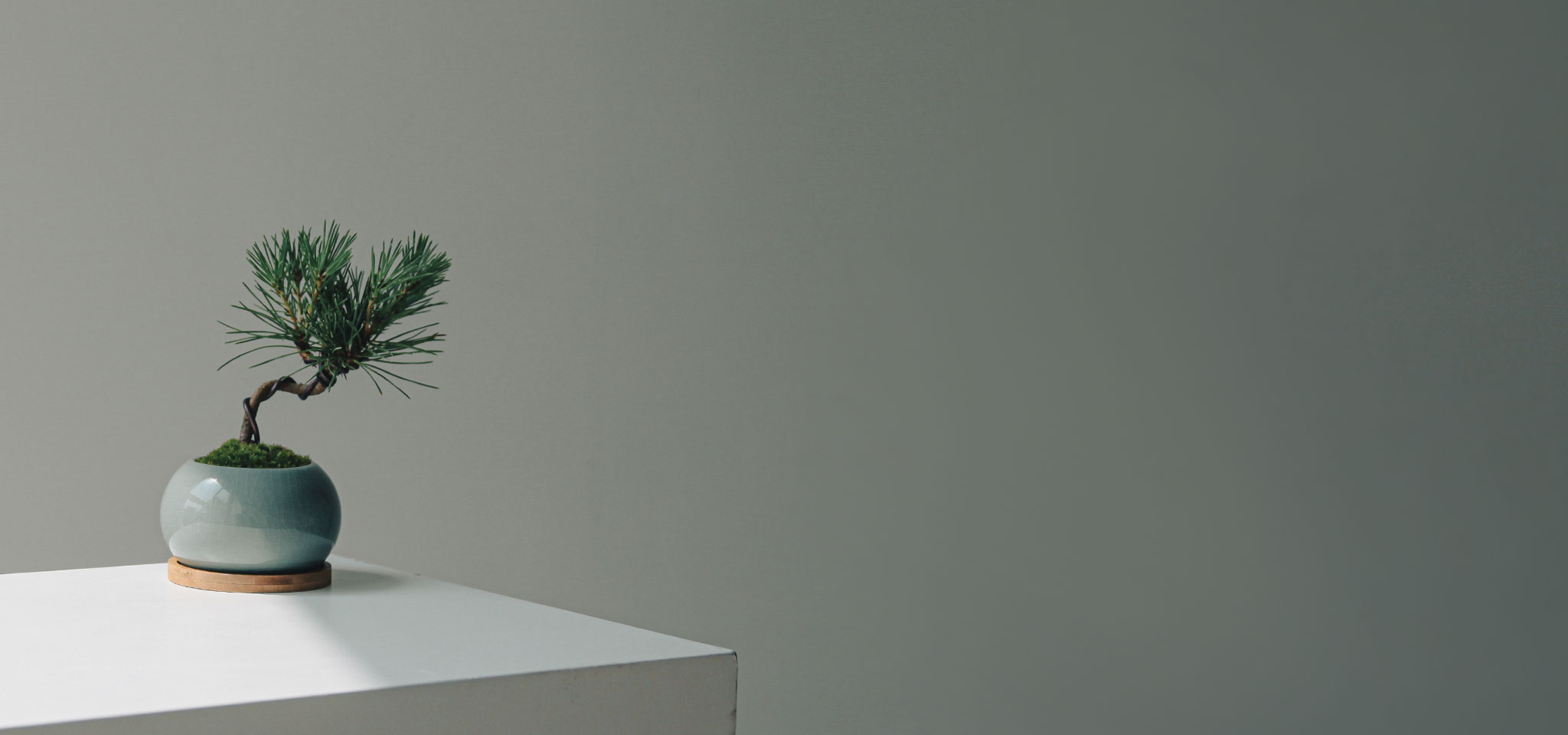 상품 섬네일 상품 섬네일