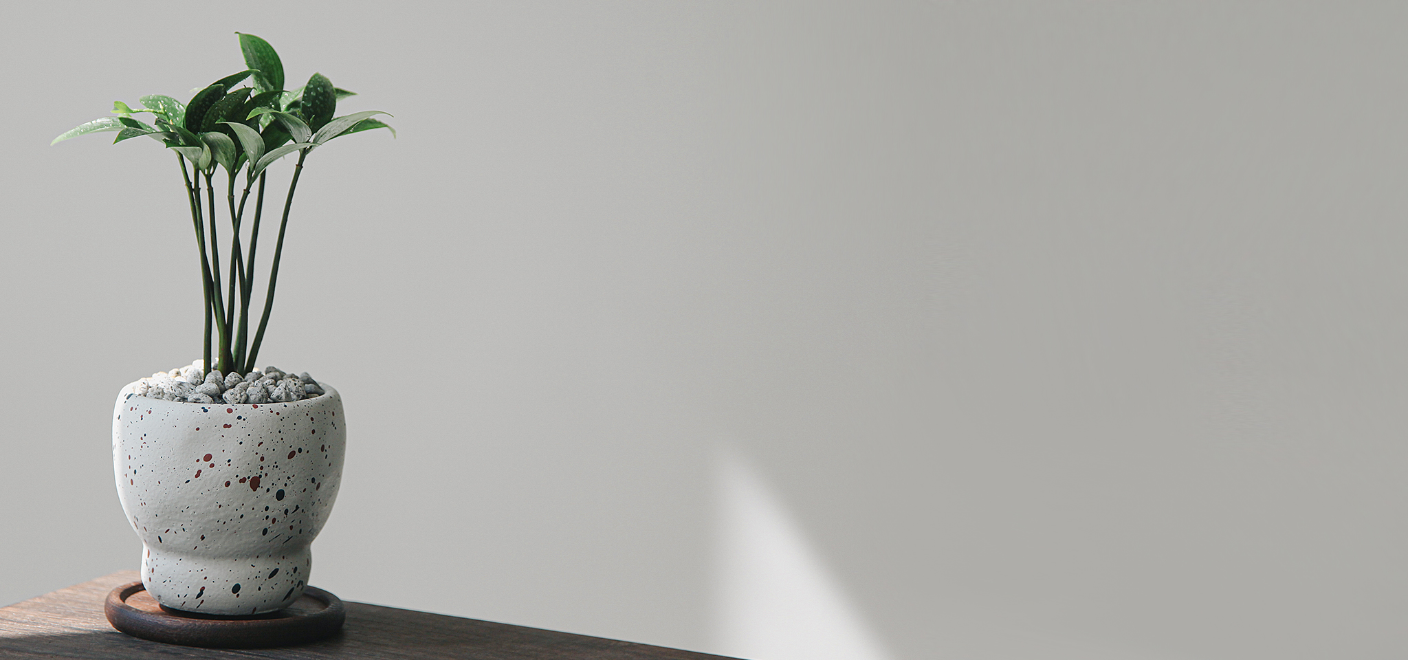 상품 섬네일 상품 섬네일