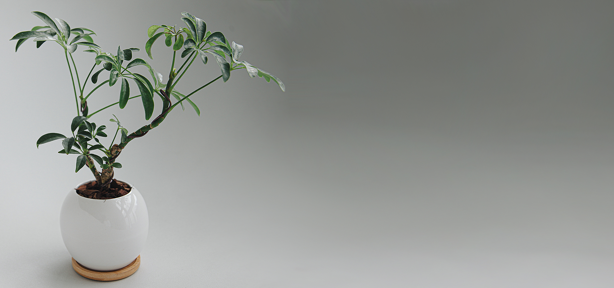 상품 섬네일 상품 섬네일