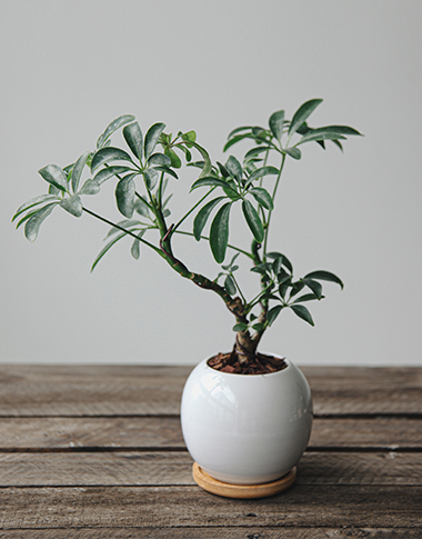 상품 섬네일 상품 섬네일