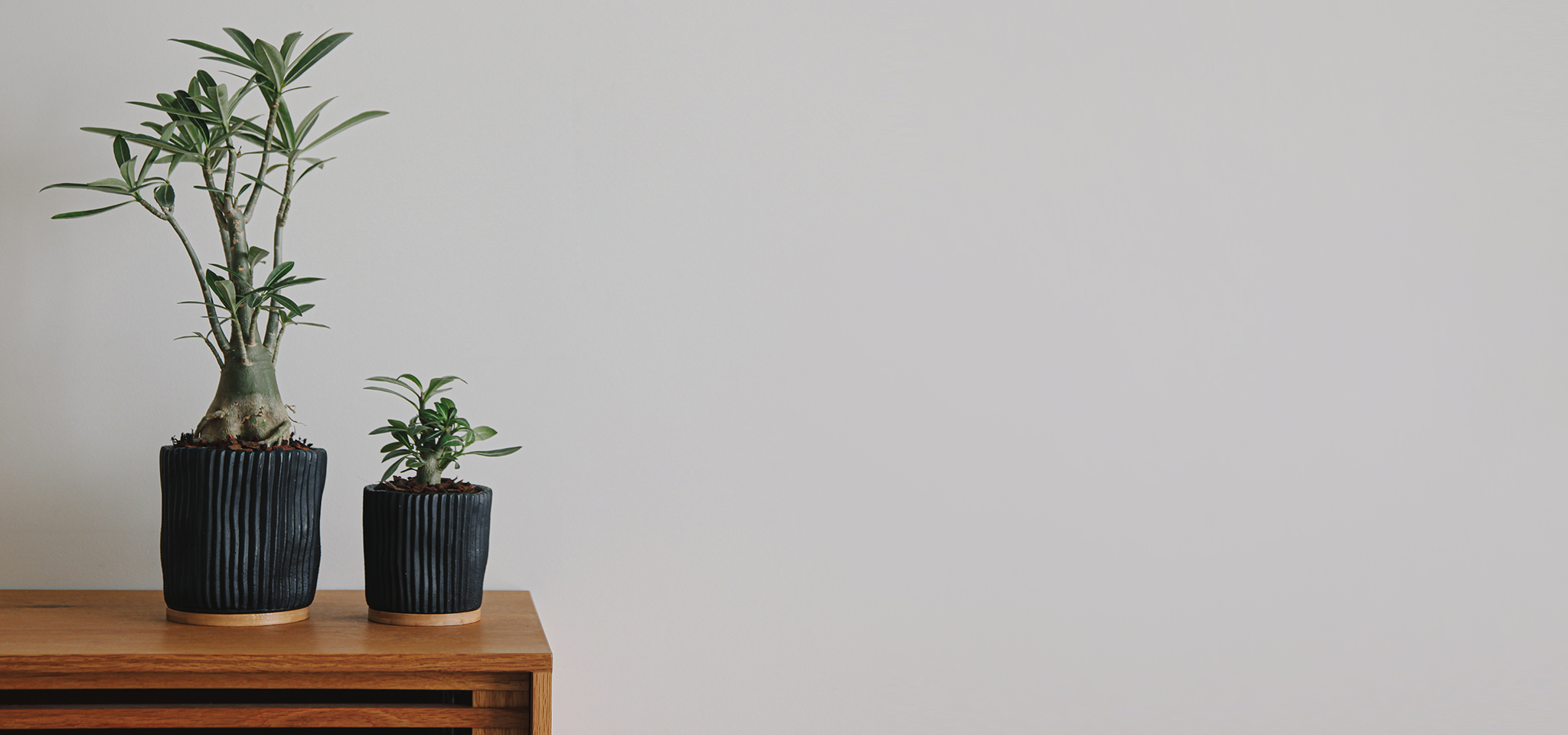 상품 섬네일 상품 섬네일