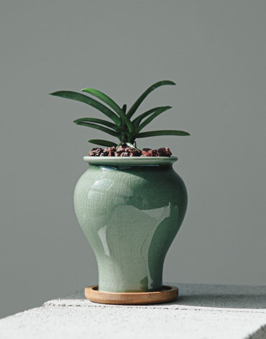 상품 섬네일 상품 섬네일