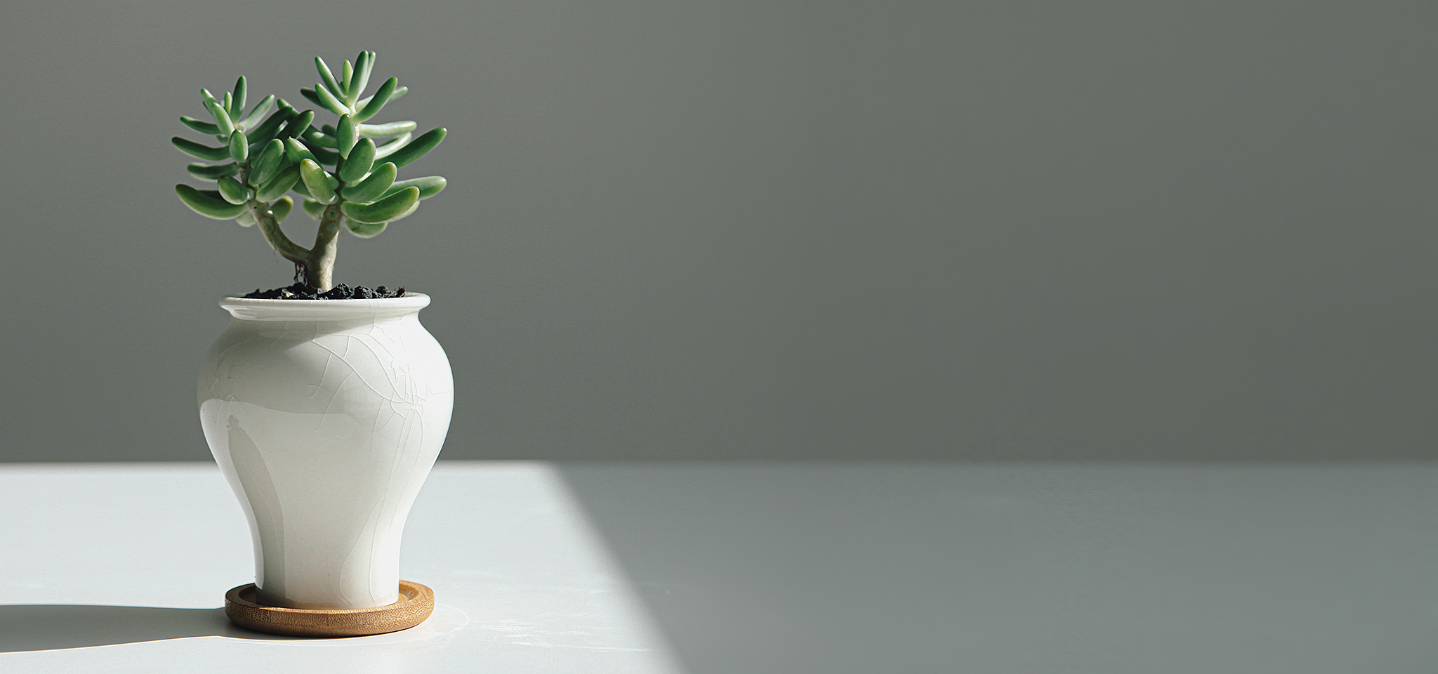 상품 섬네일 상품 섬네일