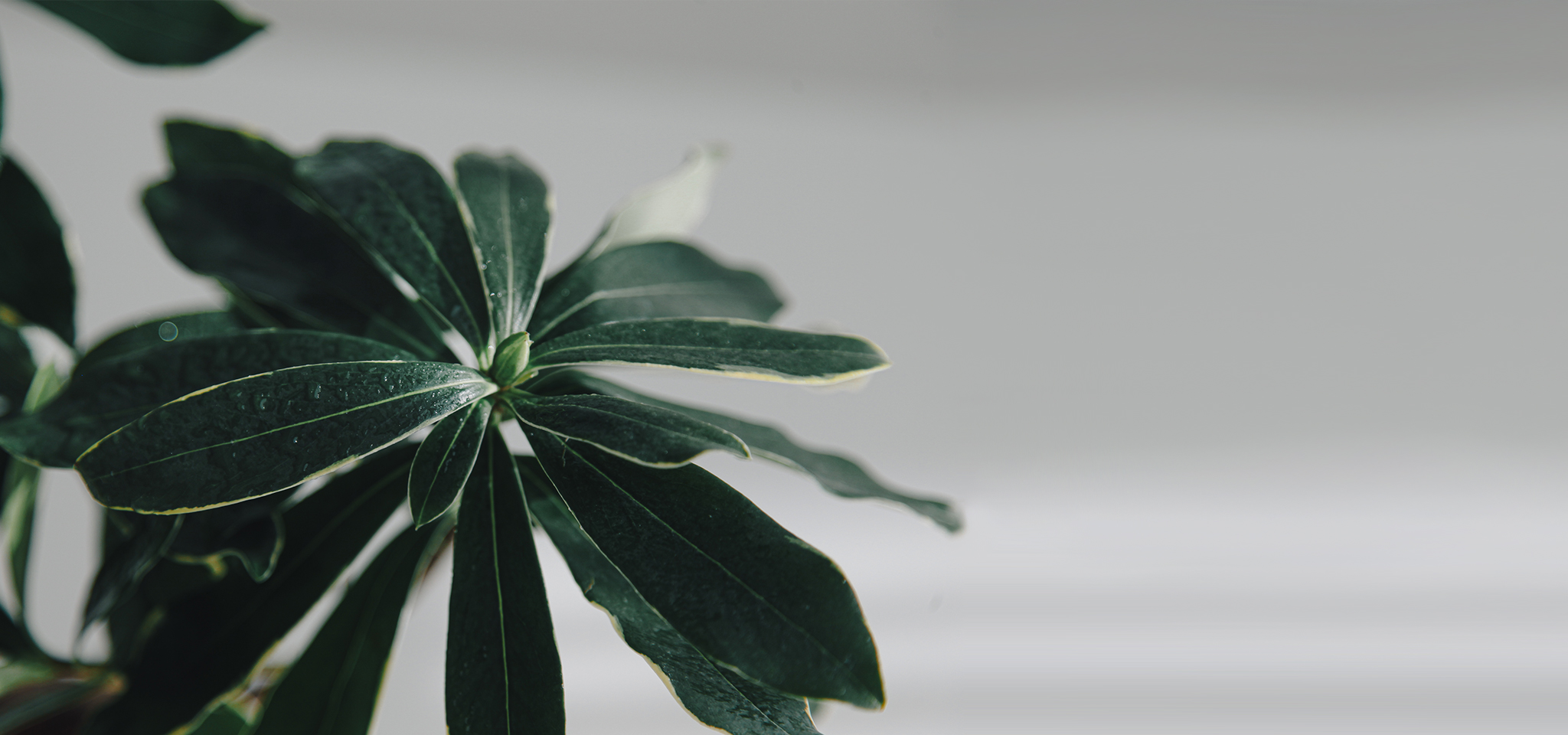 상품 섬네일 상품 섬네일