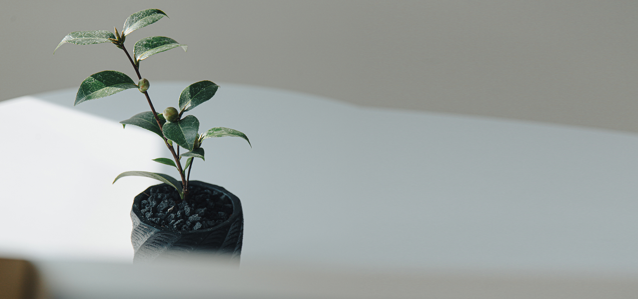 상품 섬네일 상품 섬네일