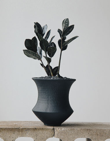 상품 섬네일 상품 섬네일