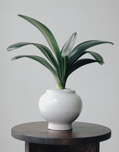 상품 섬네일 상품 섬네일