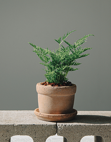 상품 섬네일 상품 섬네일