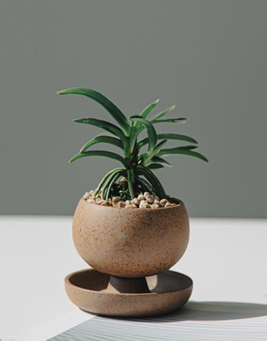 상품 섬네일 상품 섬네일