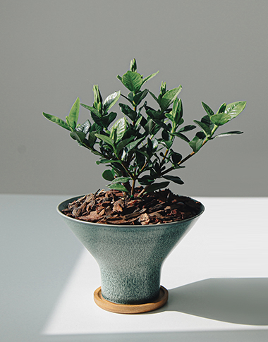 상품 섬네일 상품 섬네일