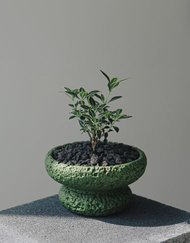 상품 섬네일 상품 섬네일