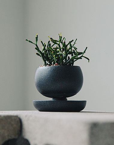 상품 섬네일 상품 섬네일