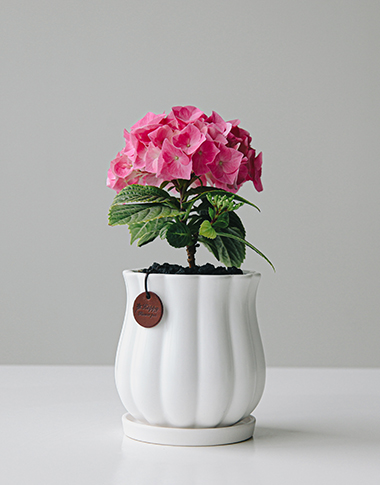 상품 섬네일 상품 섬네일