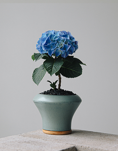 상품 섬네일 상품 섬네일