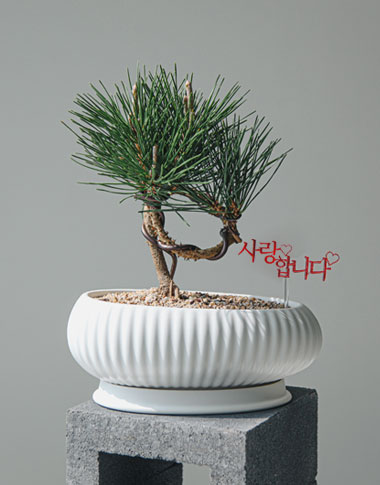 상품 섬네일 상품 섬네일