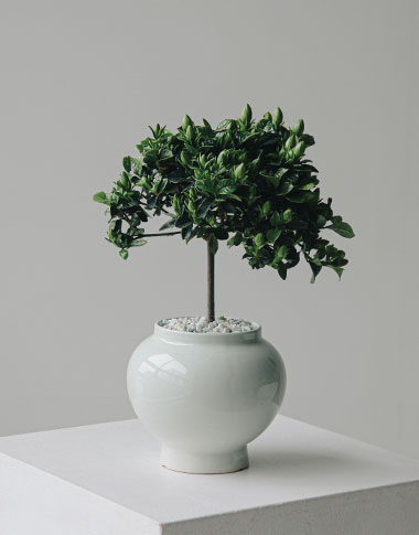 상품 섬네일 상품 섬네일