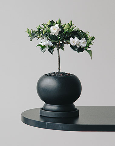 상품 섬네일 상품 섬네일