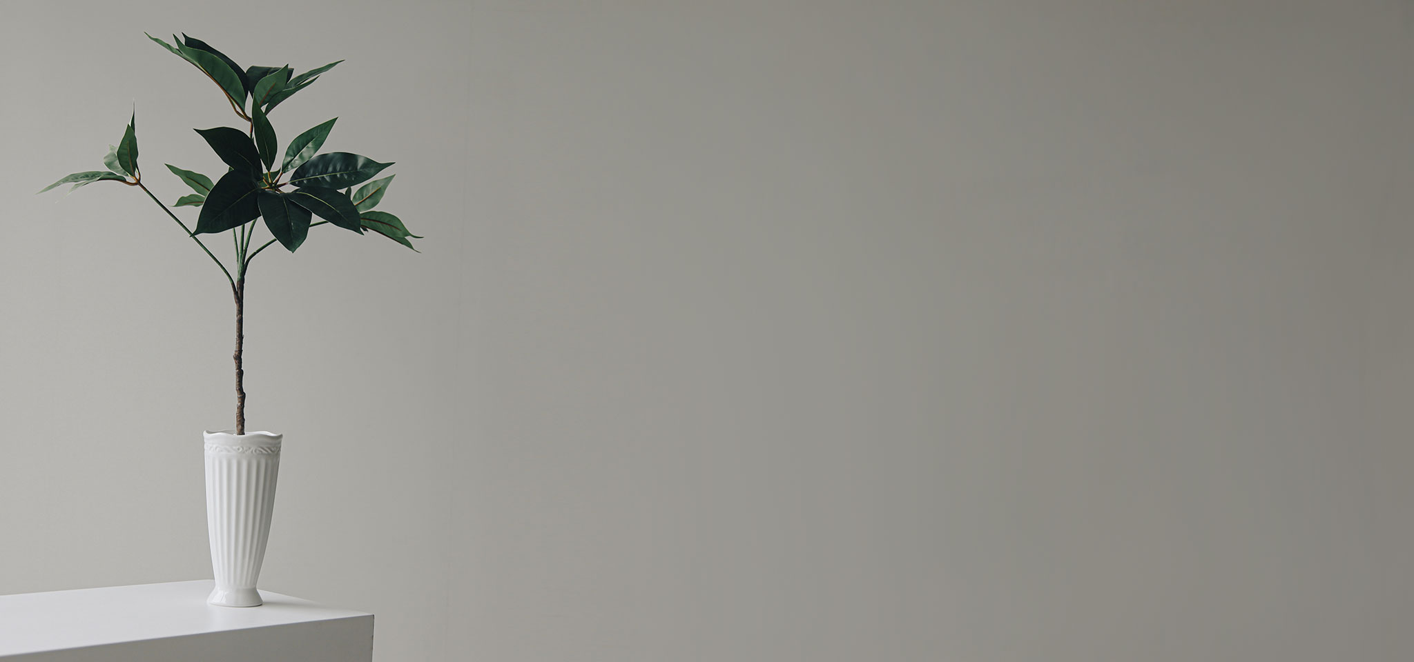 상품 섬네일 상품 섬네일