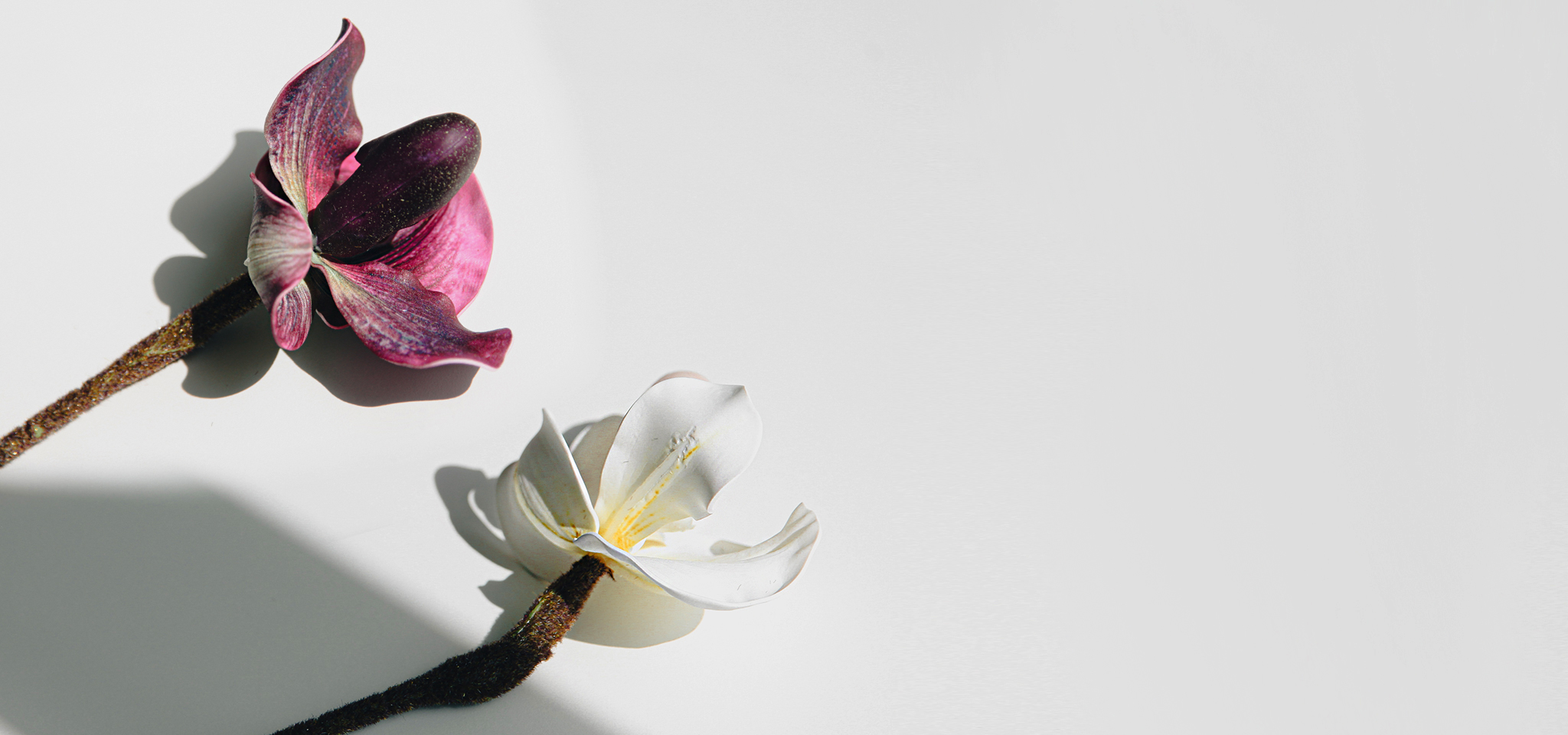 상품 섬네일 상품 섬네일