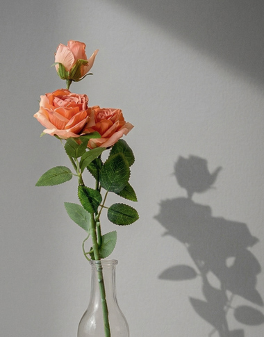 상품 섬네일 상품 섬네일